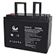 Motive Battery